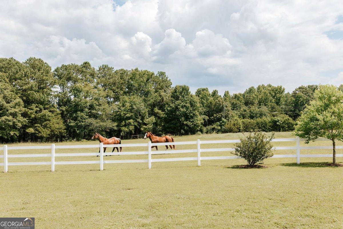 62 Coiles Grove Road Colbert GA 30628