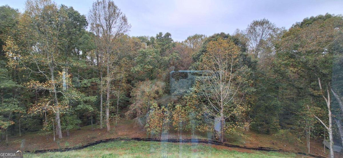 140 Trace Bluff Dawsonville GA 30534