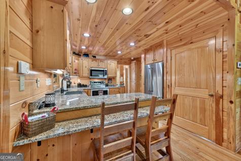 2975 Mountain Tops Road Blue Ridge GA 30513