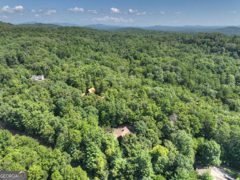 2975 Mountain Tops Road Blue Ridge GA 30513