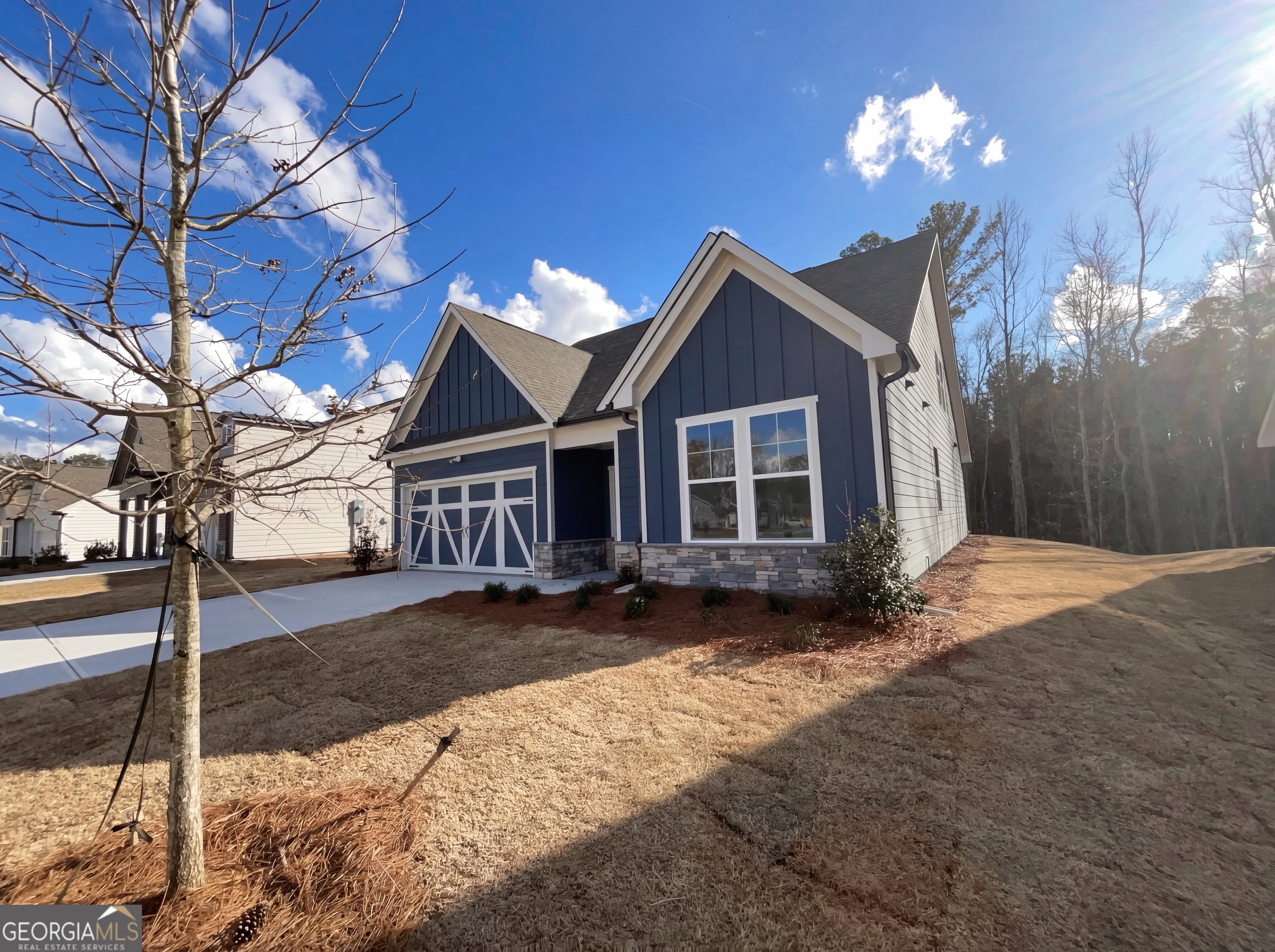 8 Mayhaw Point Sharpsburg GA 30277