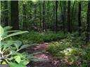 113 Elder Court Waleska GA 30183