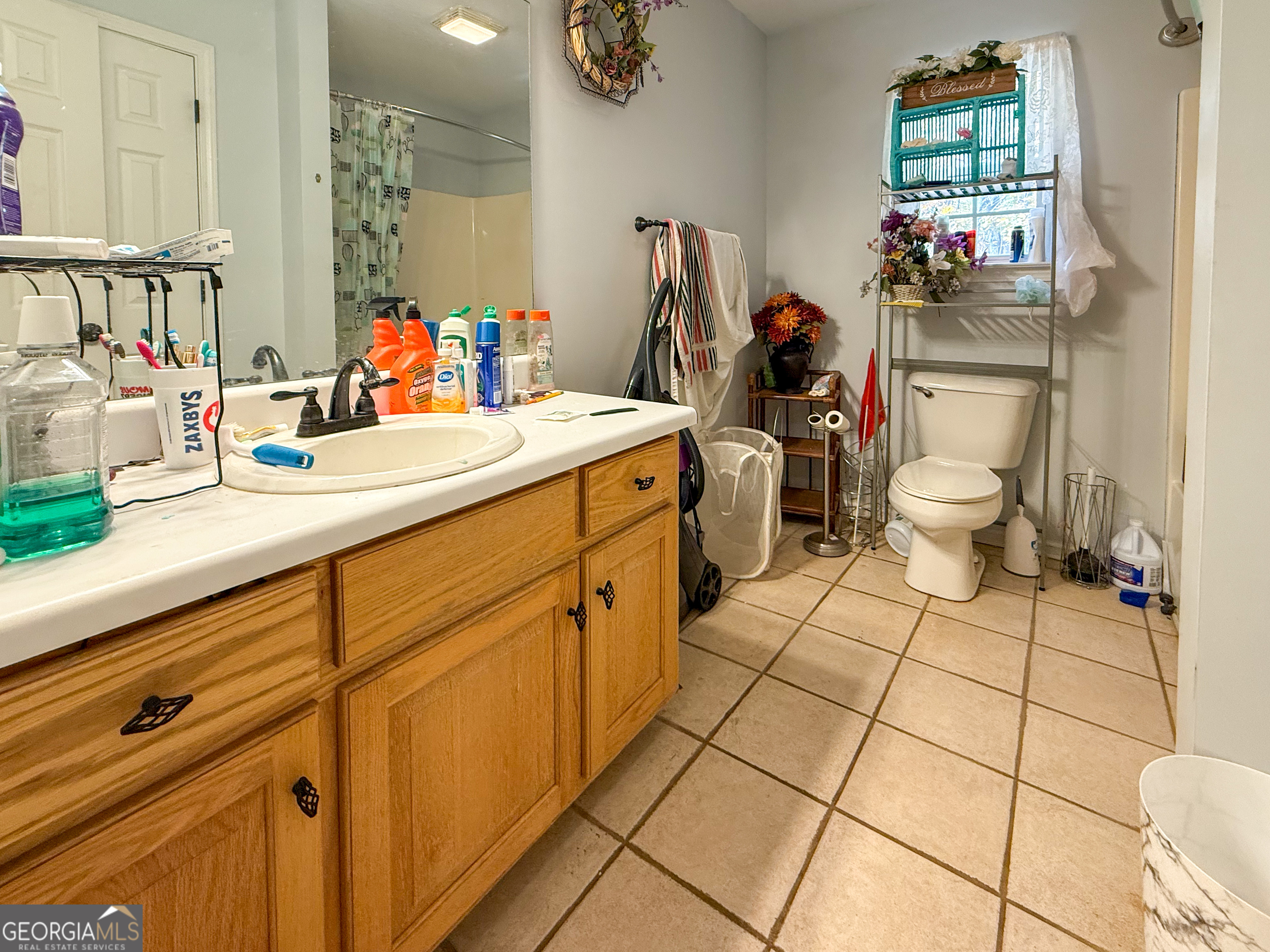 70 Greenview Court Cleveland GA 30528