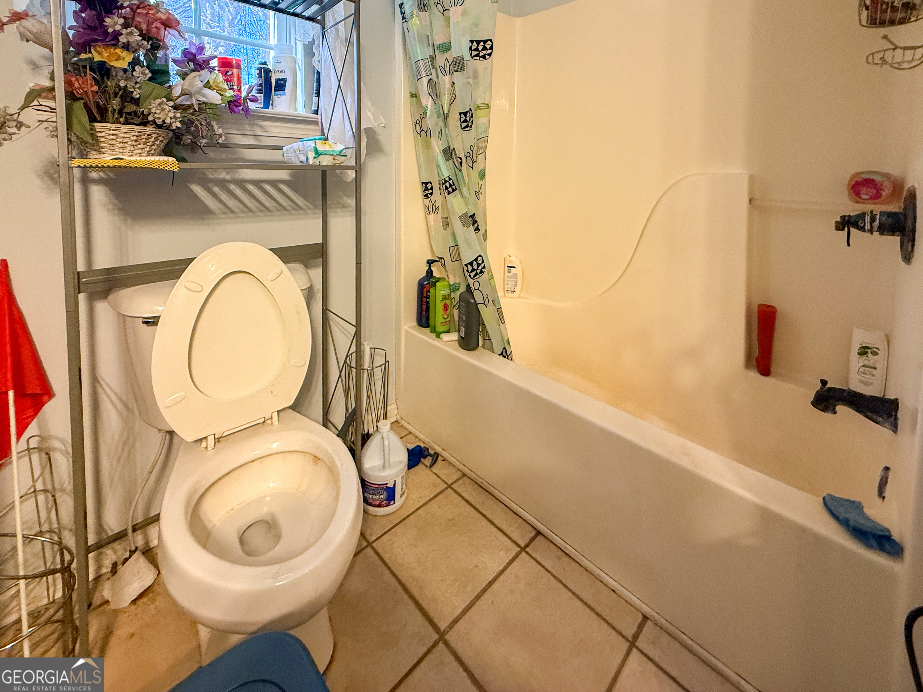 70 Greenview Court Cleveland GA 30528