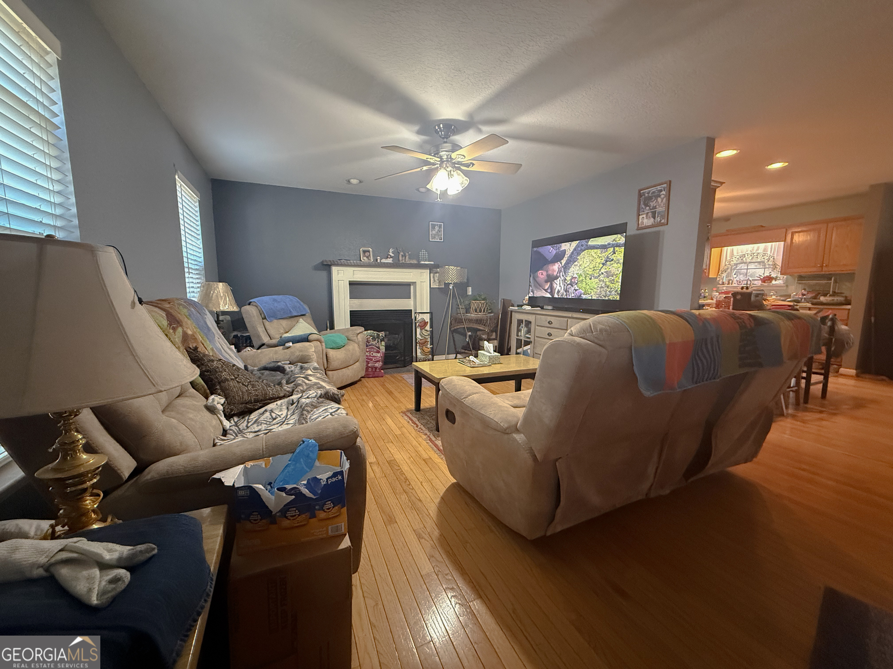 70 Greenview Court Cleveland GA 30528