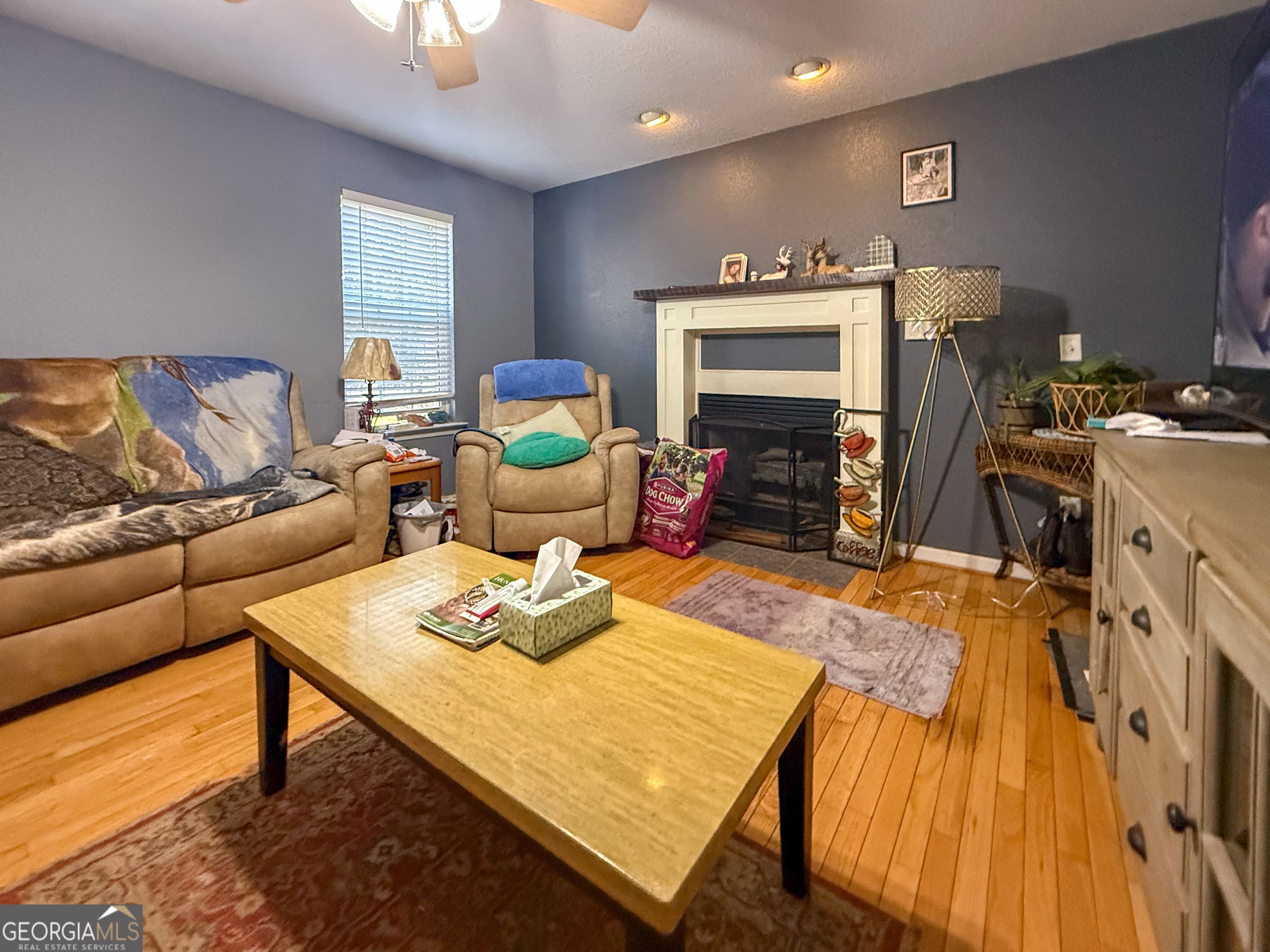 70 Greenview Court Cleveland GA 30528