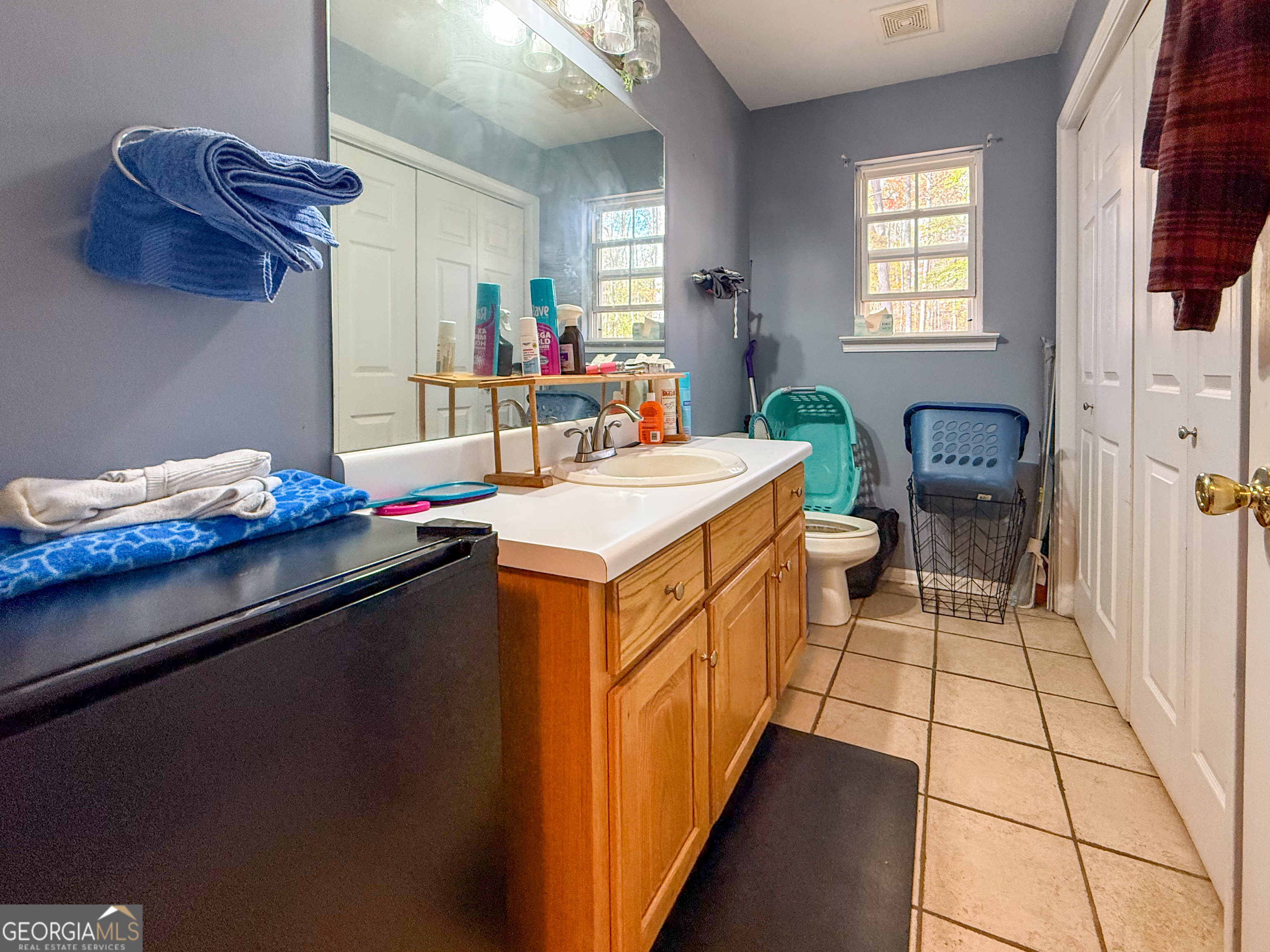 70 Greenview Court Cleveland GA 30528