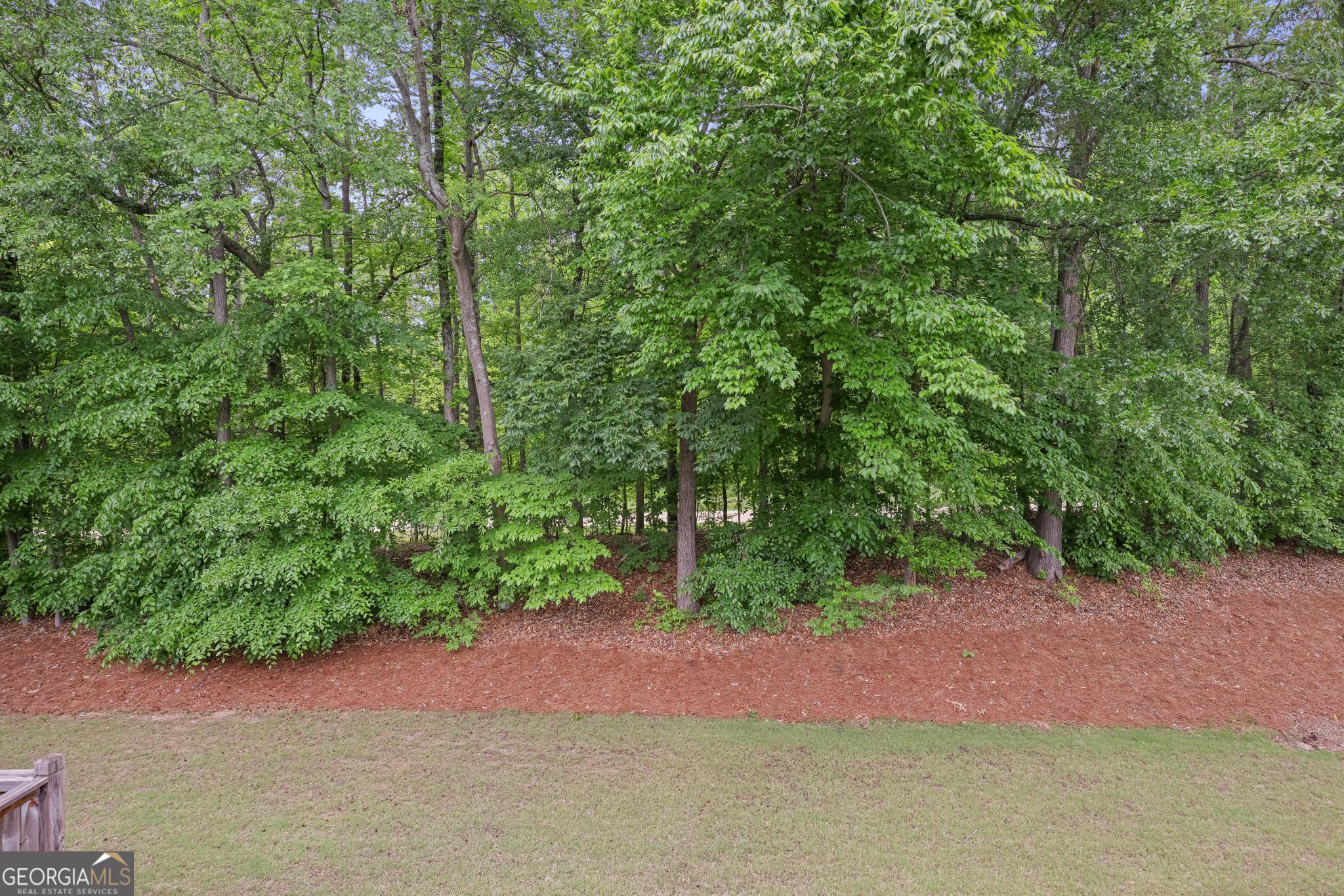 1971 Silver Birch Drive SE Smyrna GA 30080