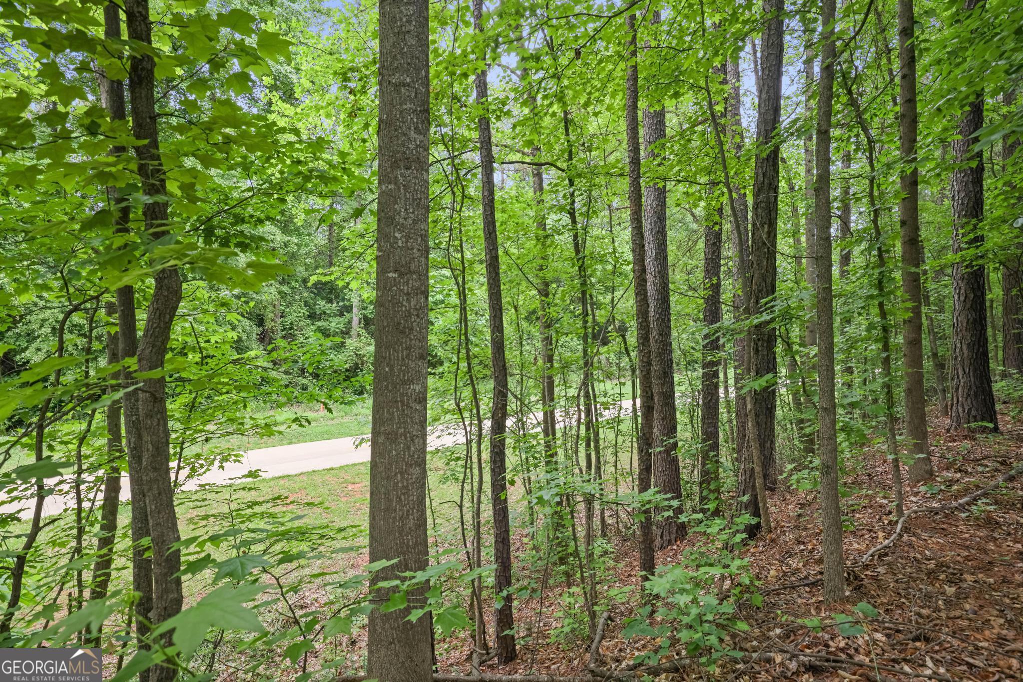 1971 Silver Birch Drive SE Smyrna GA 30080