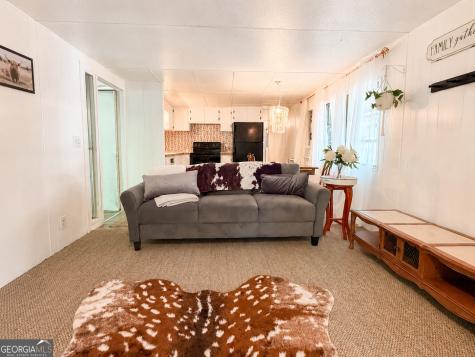 480 Wahu Hu Drive Hiawassee GA 30546