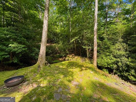 480 Wahu Hu Drive Hiawassee GA 30546