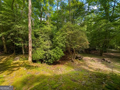 480 Wahu Hu Drive Hiawassee GA 30546