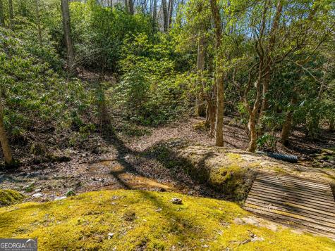 480 Wahu Hu Drive Hiawassee GA 30546