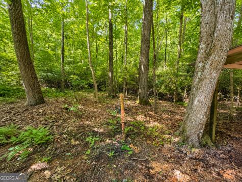 480 Wahu Hu Drive Hiawassee GA 30546