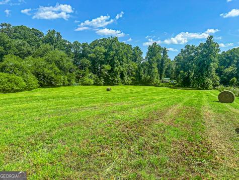 2051 Clay Creek Falls Road Dahlonega GA 30533