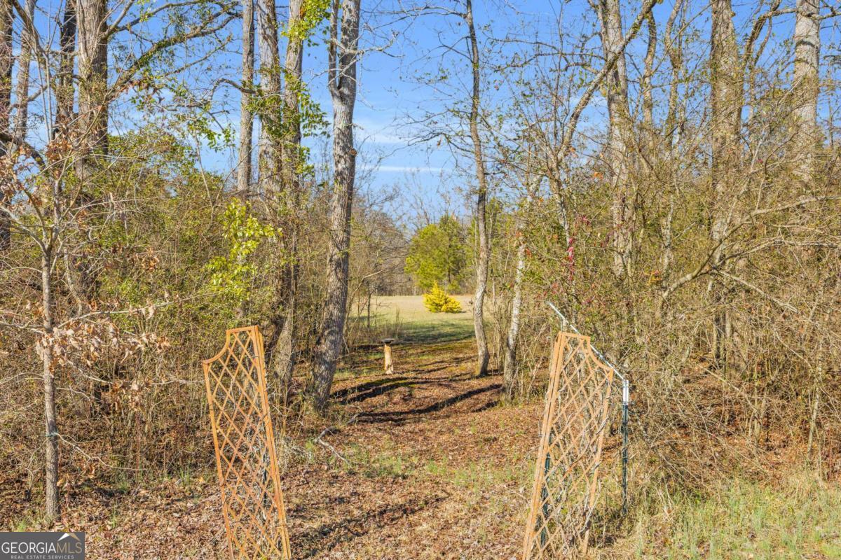 226 History Trail Winterville GA 30683