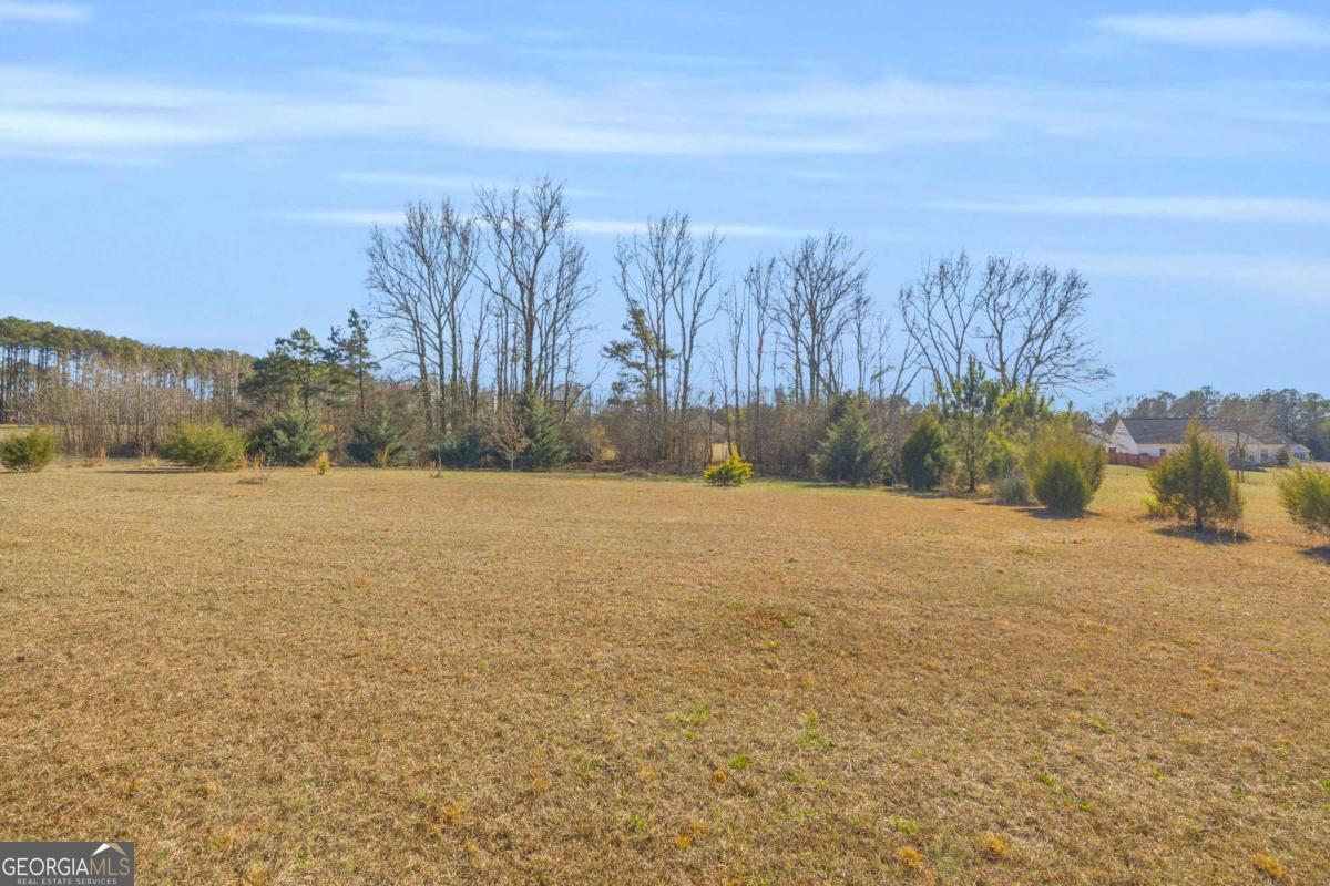 226 History Trail Winterville GA 30683