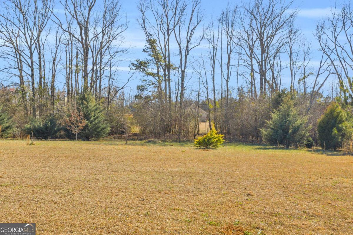 226 History Trail Winterville GA 30683
