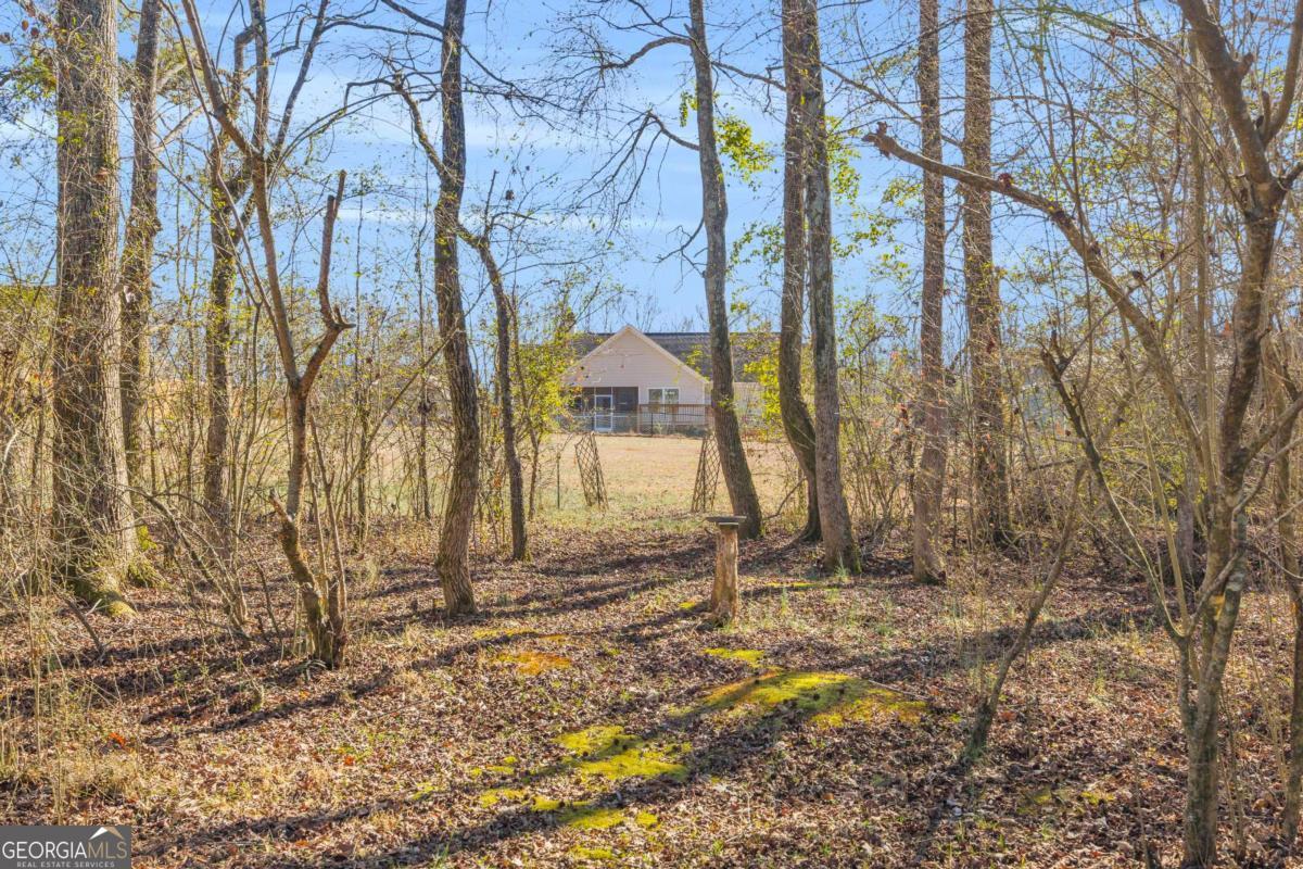 226 History Trail Winterville GA 30683