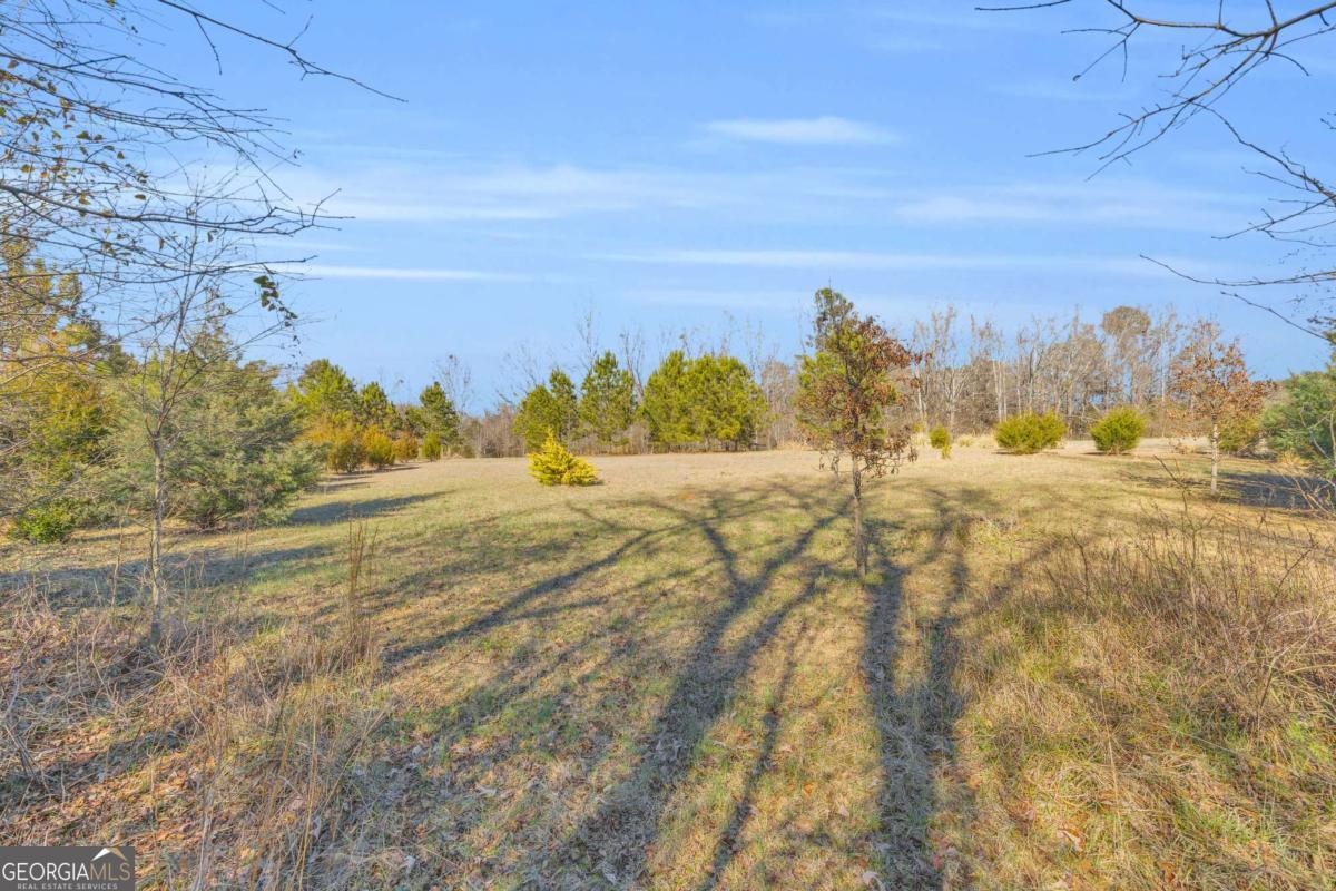 226 History Trail Winterville GA 30683