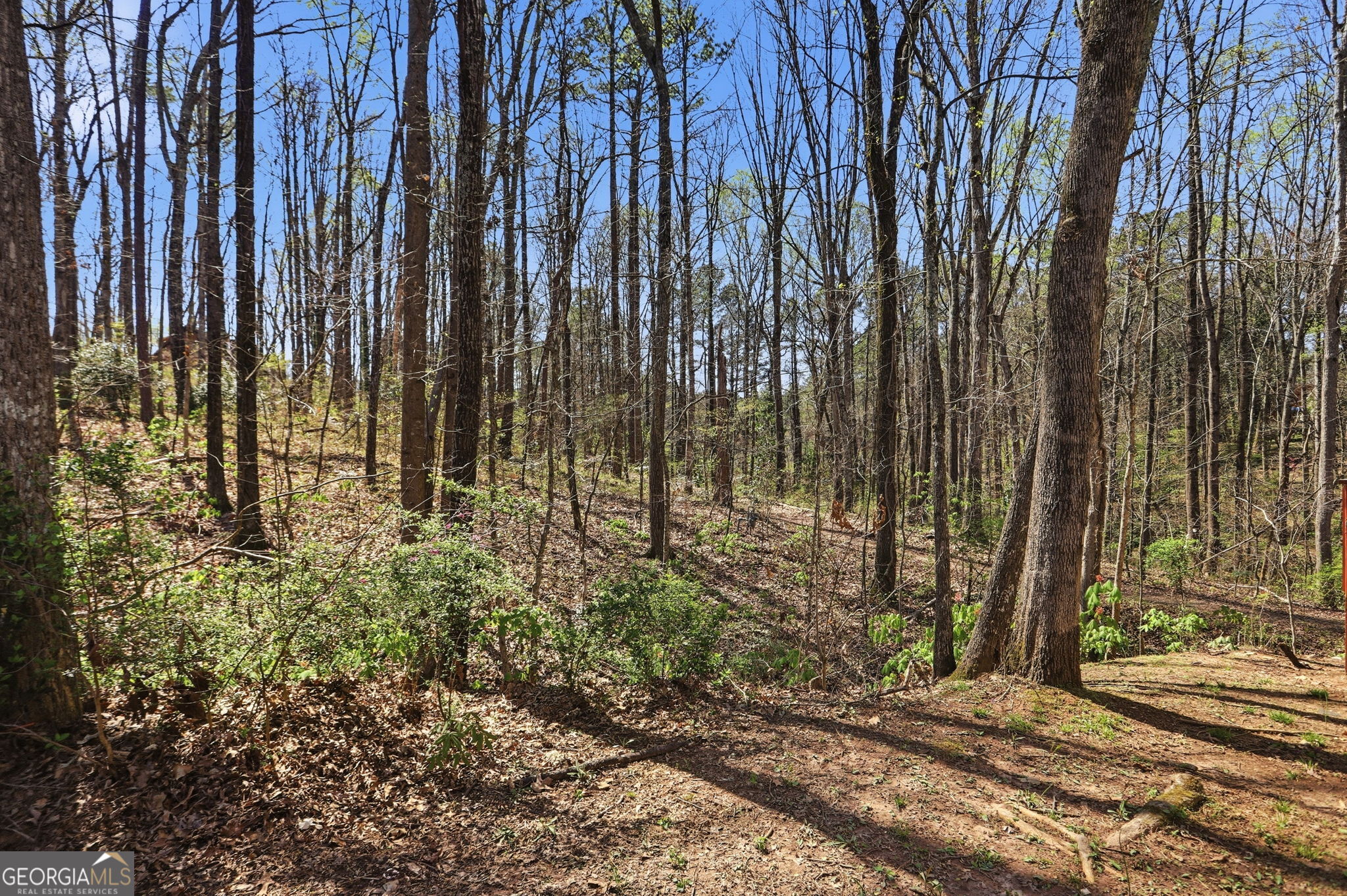 2707 Peggy Sue Lane Morrow GA 30260