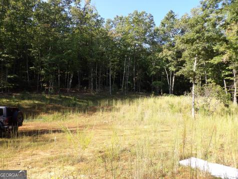 349 Old Ferguson Town Road Hiawassee GA 30546