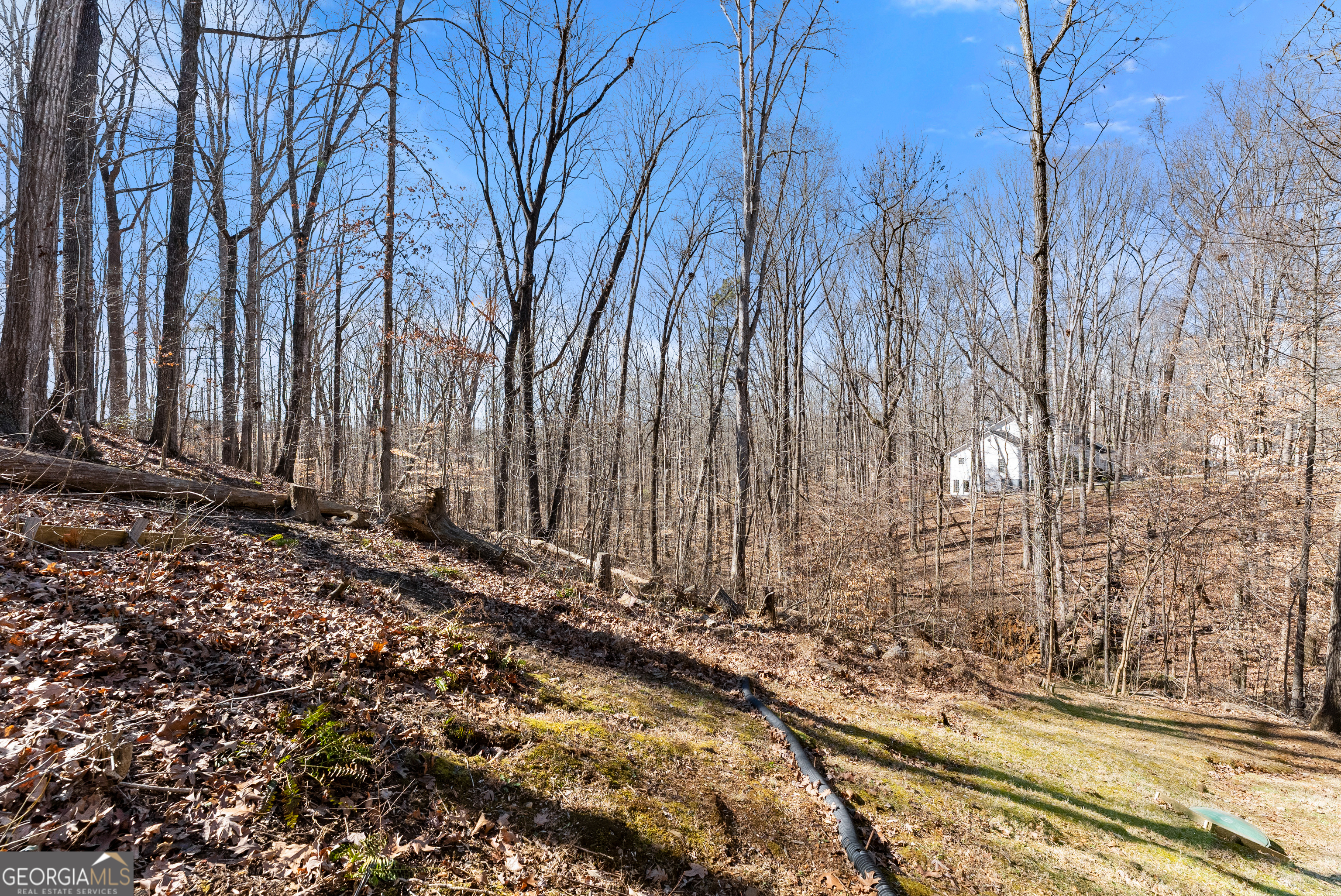 5082 Peach Mountain Circle Gainesville GA 30507
