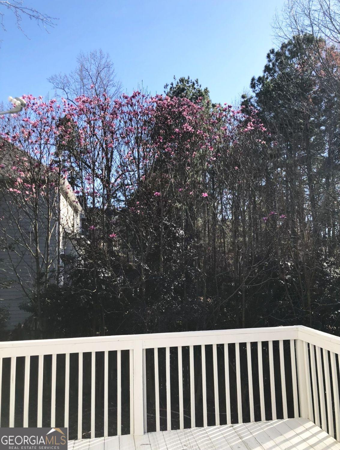 6265 Lake Windsor Parkway Buford GA 30518