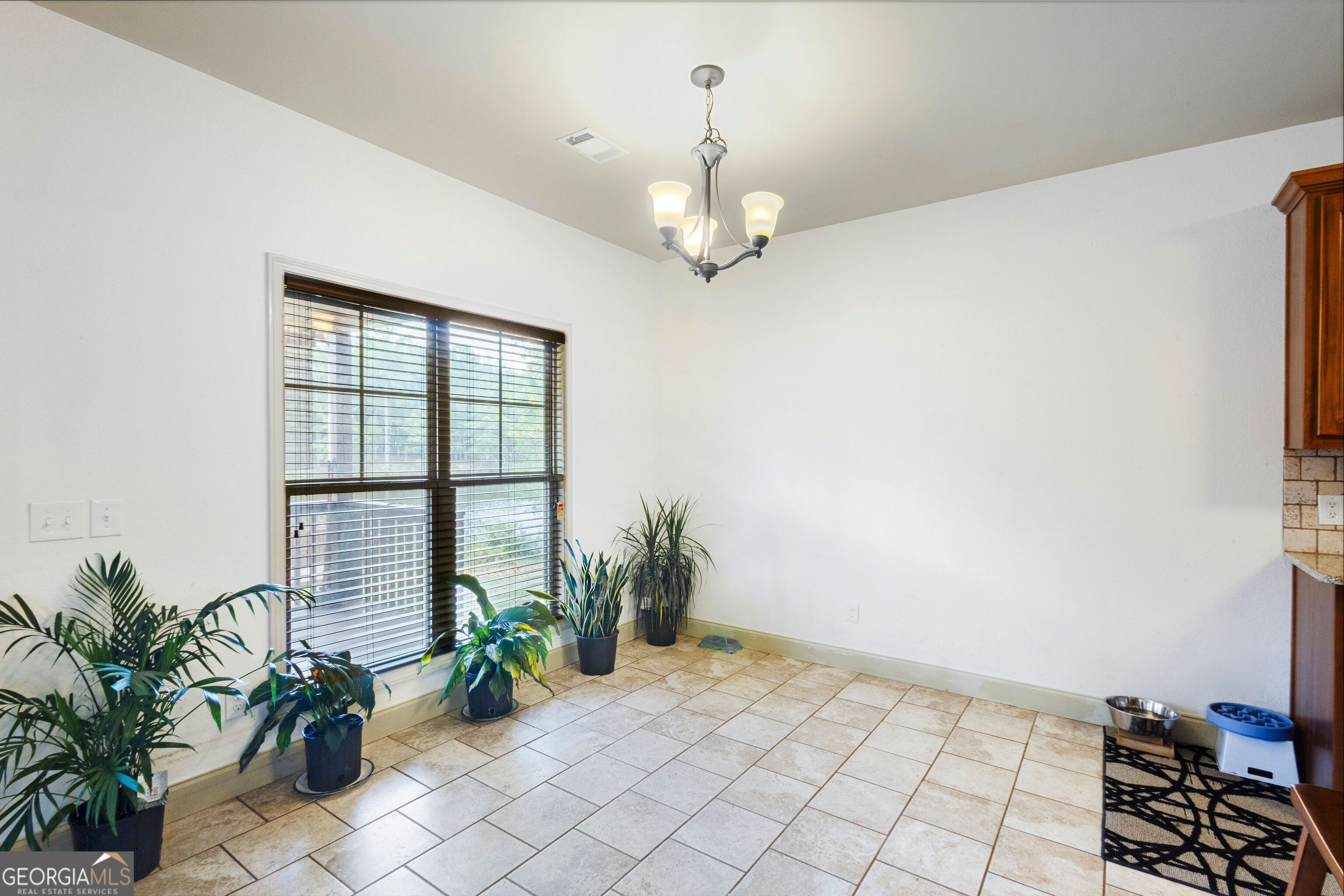 241 Spring Hill Drive Ellerslie GA 31807