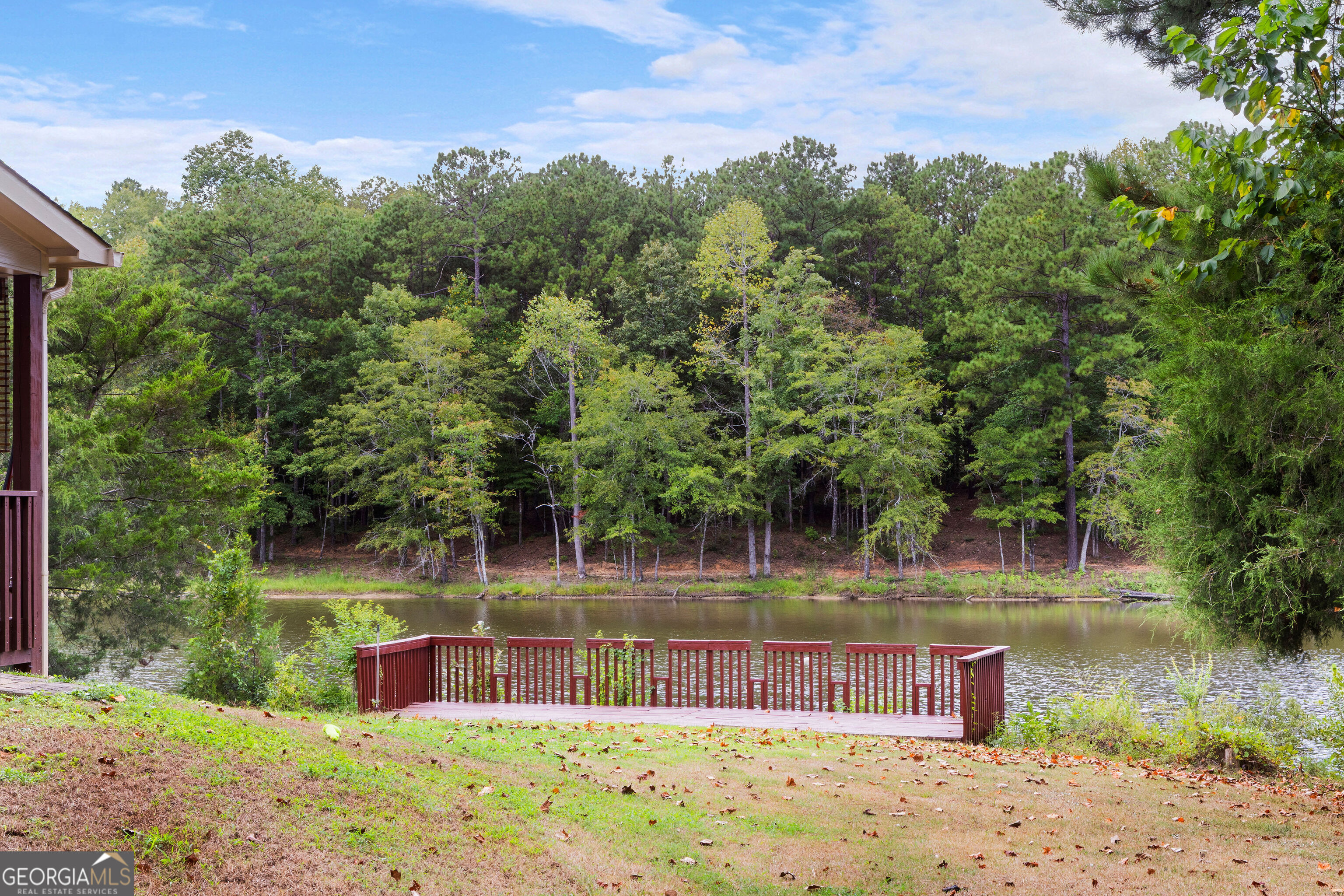 241 Spring Hill Drive Ellerslie GA 31807
