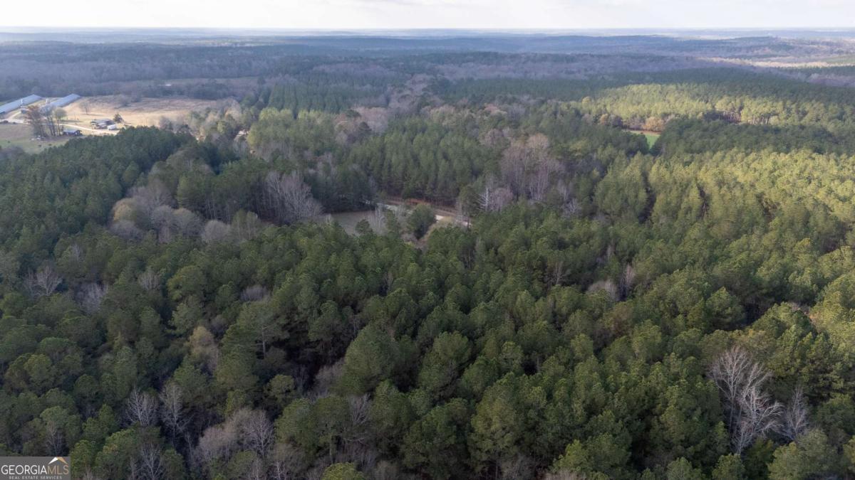 181 Lower Wirebridge Road Stephens GA 30667