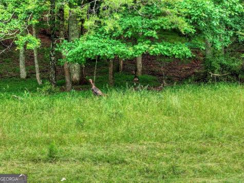 20.11 Ac Mountain View Road Mccaysville GA 30555