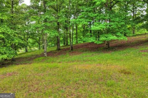 20.11 Ac Mountain View Road Mccaysville GA 30555