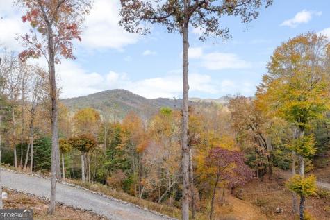 247 Toccoa Overlook Drive Blue Ridge GA 30513