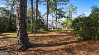 117 Mcqueen Street SW Ludowici GA 31316