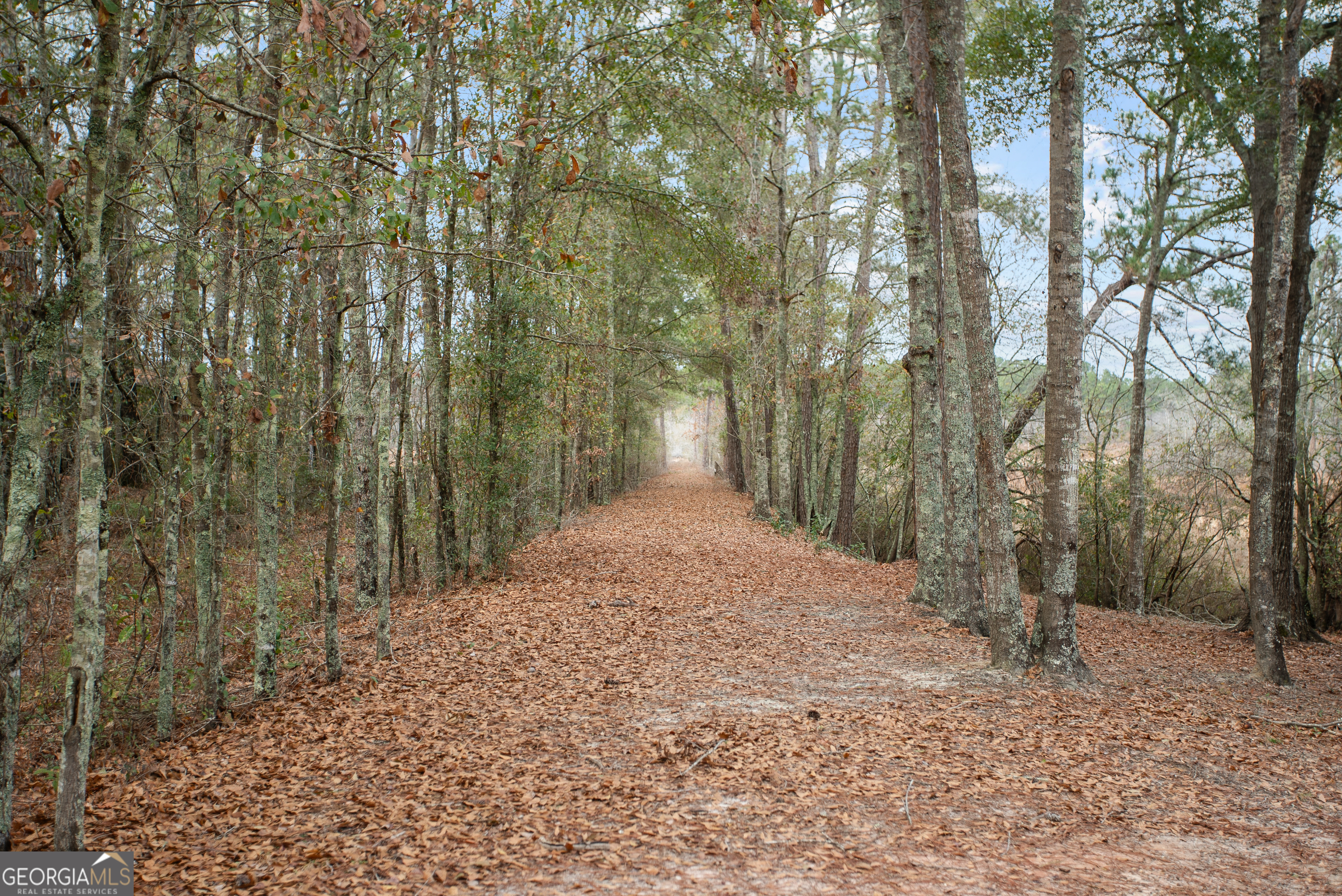 418 Oglesby Pond Lane Portal GA 30450