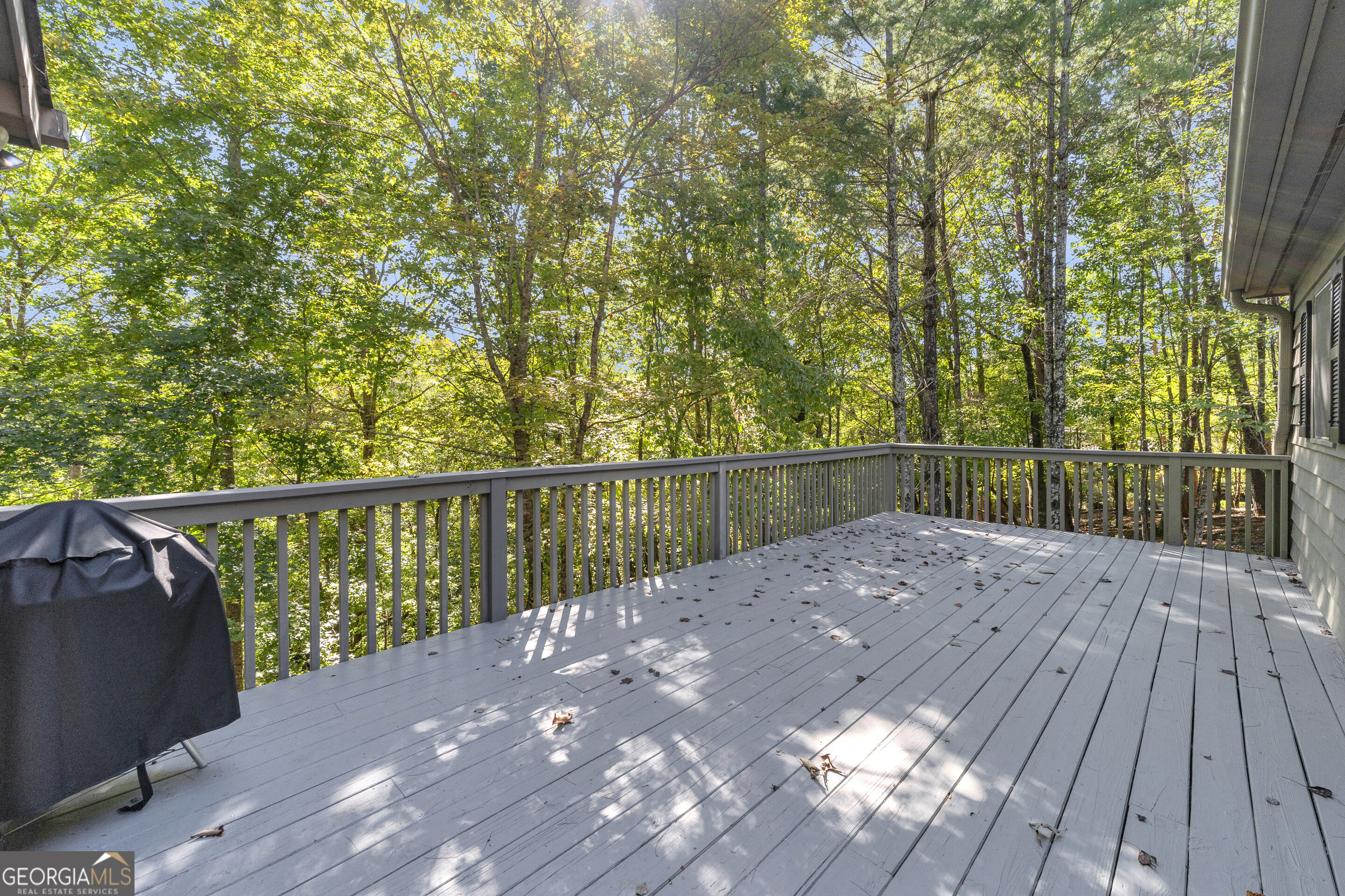 107 Hawks Nest Sautee Nacoochee GA 30571