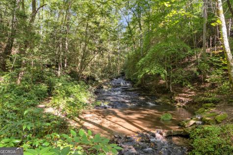 107 Hawks Nest Sautee Nacoochee GA 30571