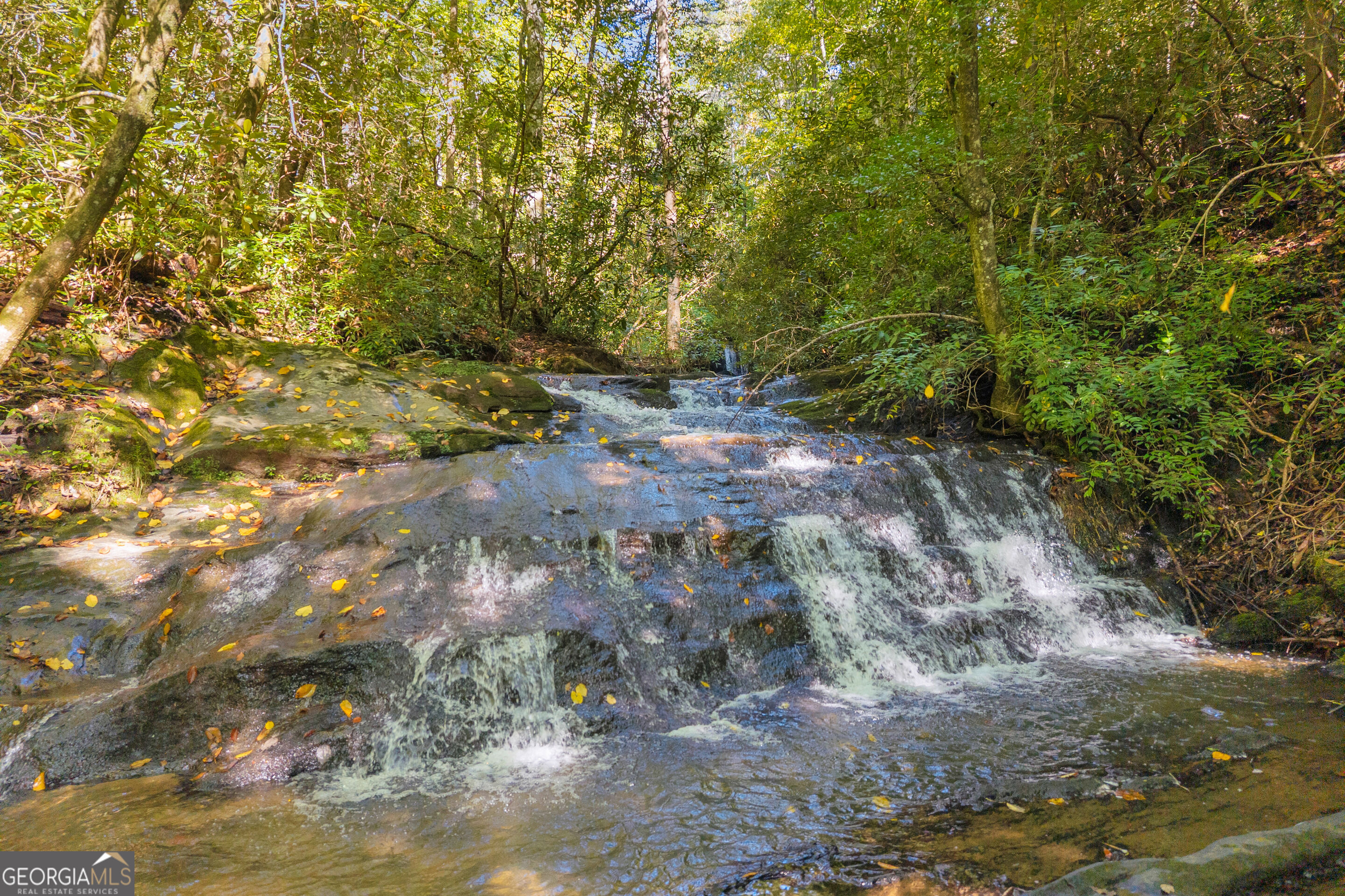 107 Hawks Nest Sautee Nacoochee GA 30571