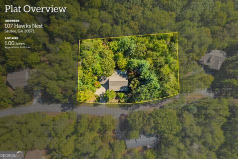 107 Hawks Nest Sautee Nacoochee GA 30571
