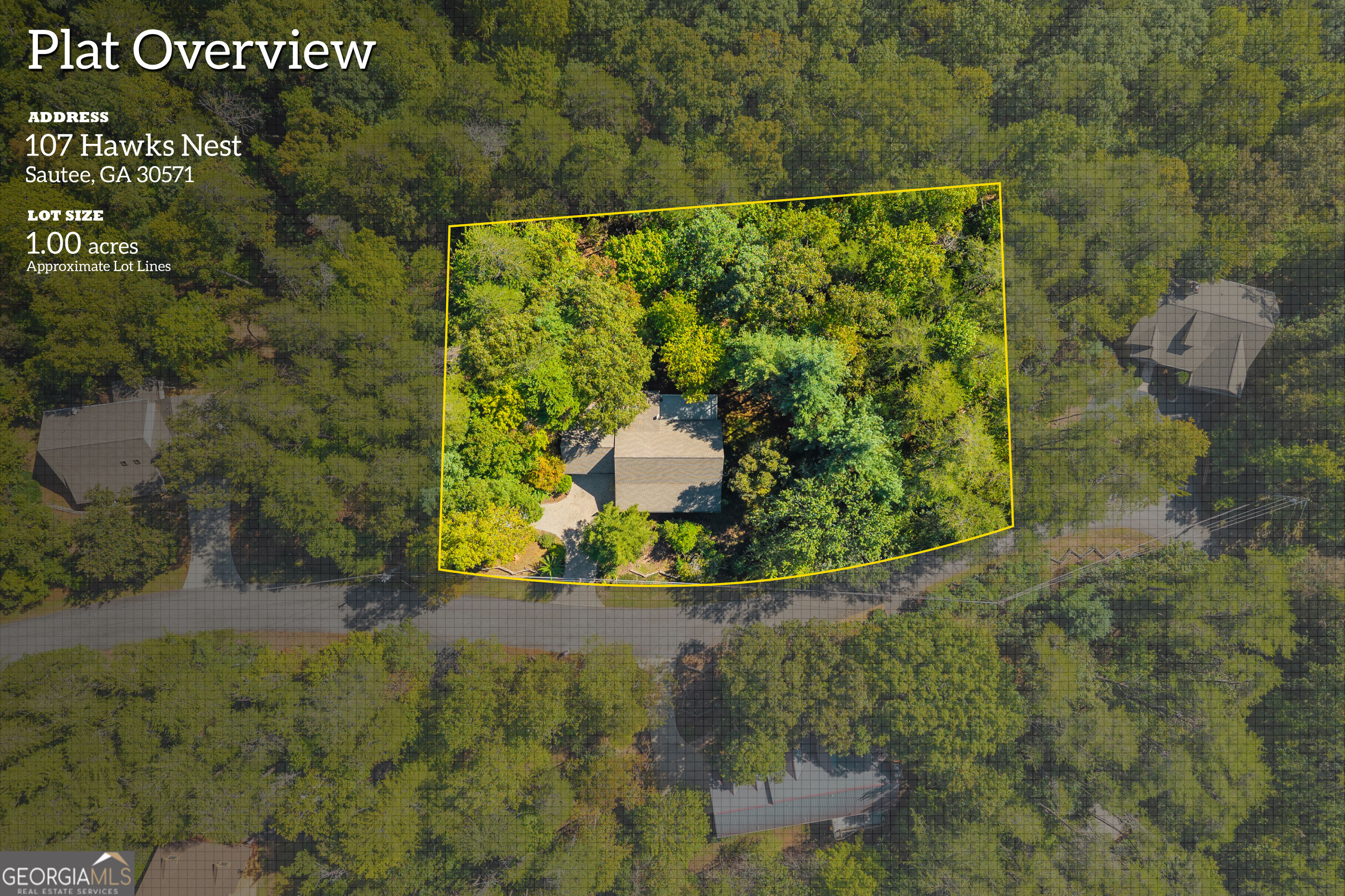 107 Hawks Nest Sautee Nacoochee GA 30571