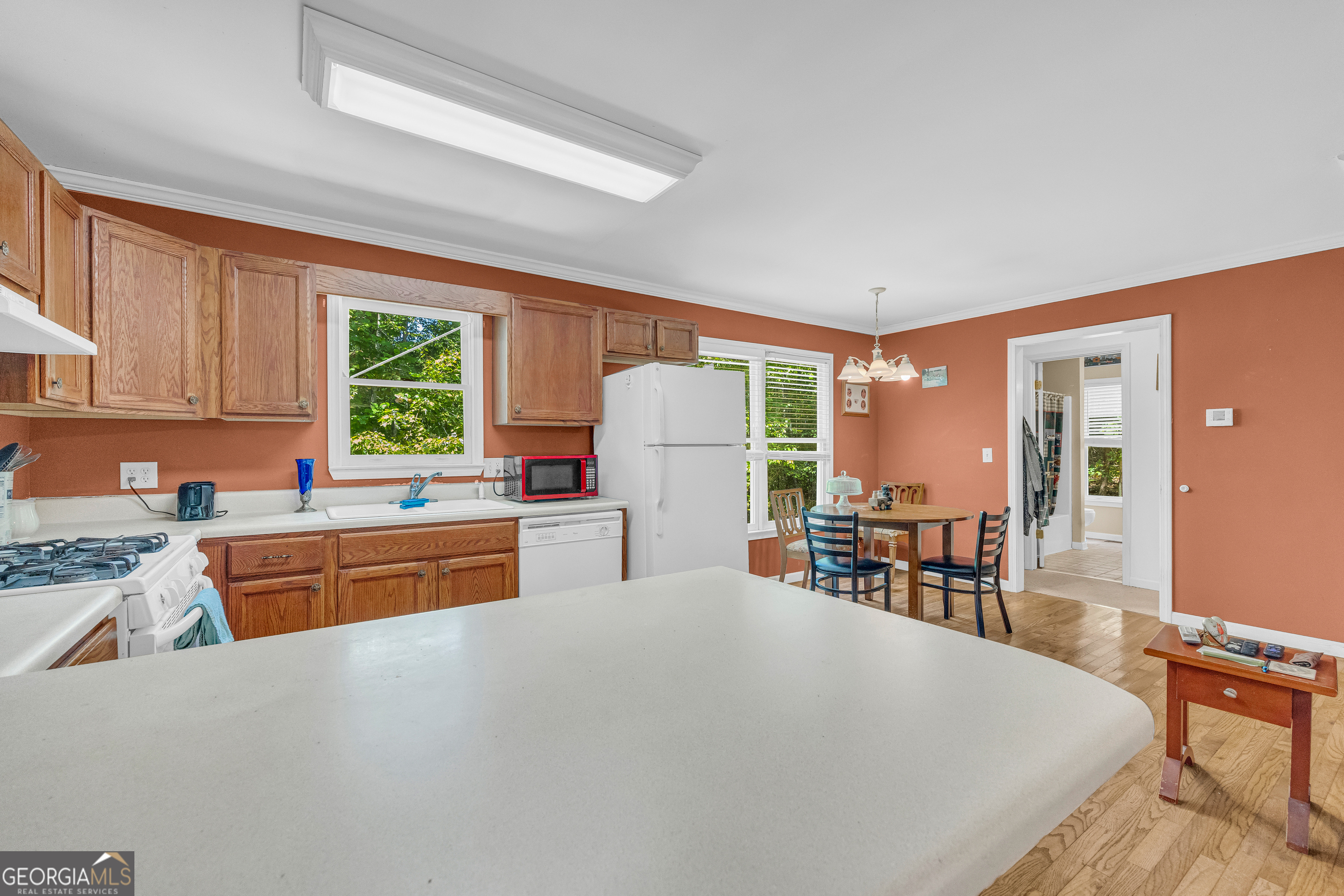 807 Satterfield Road Cleveland GA 30528