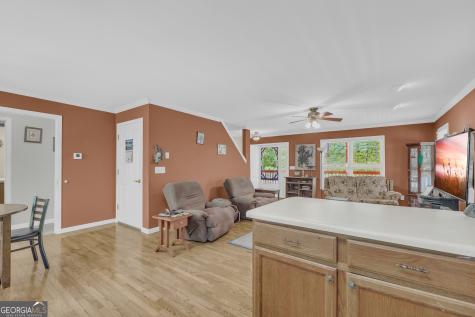807 Satterfield Road Cleveland GA 30528