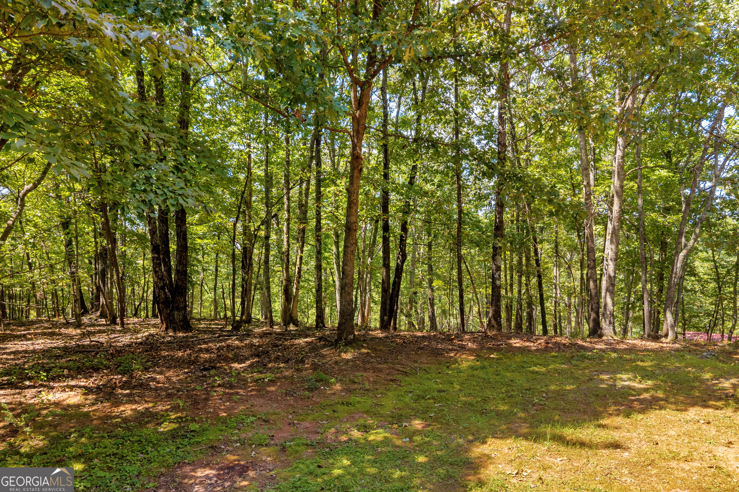 807 Satterfield Road Cleveland GA 30528