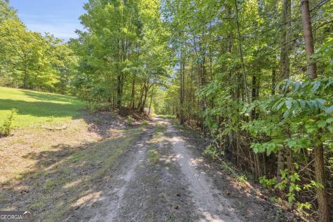 807 Satterfield Road Cleveland GA 30528