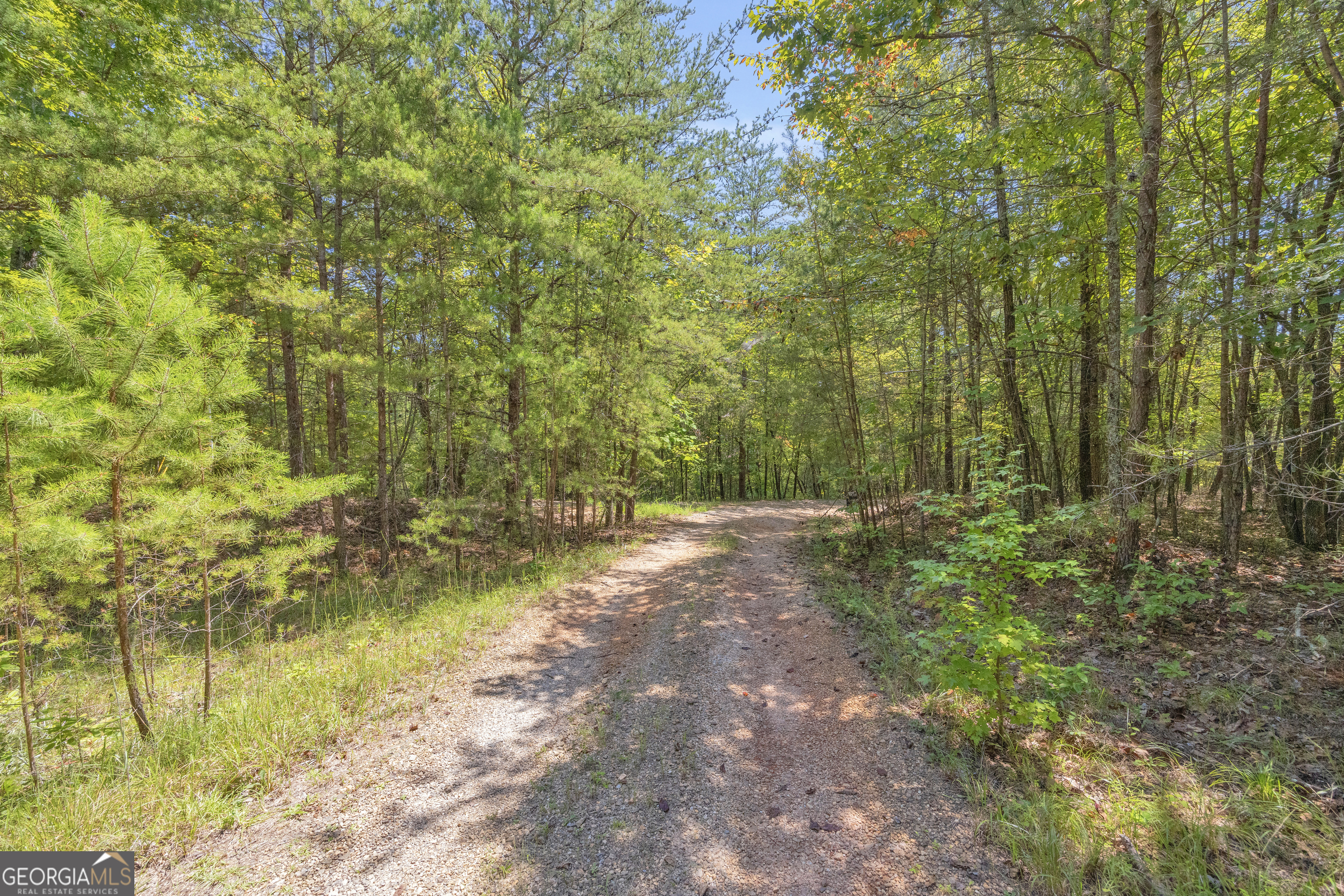 807 Satterfield Road Cleveland GA 30528