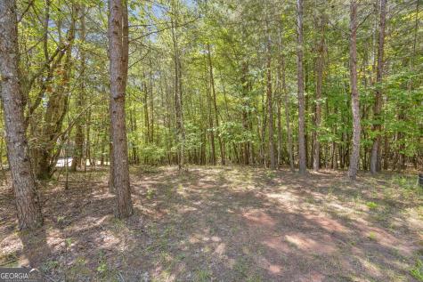 807 Satterfield Road Cleveland GA 30528