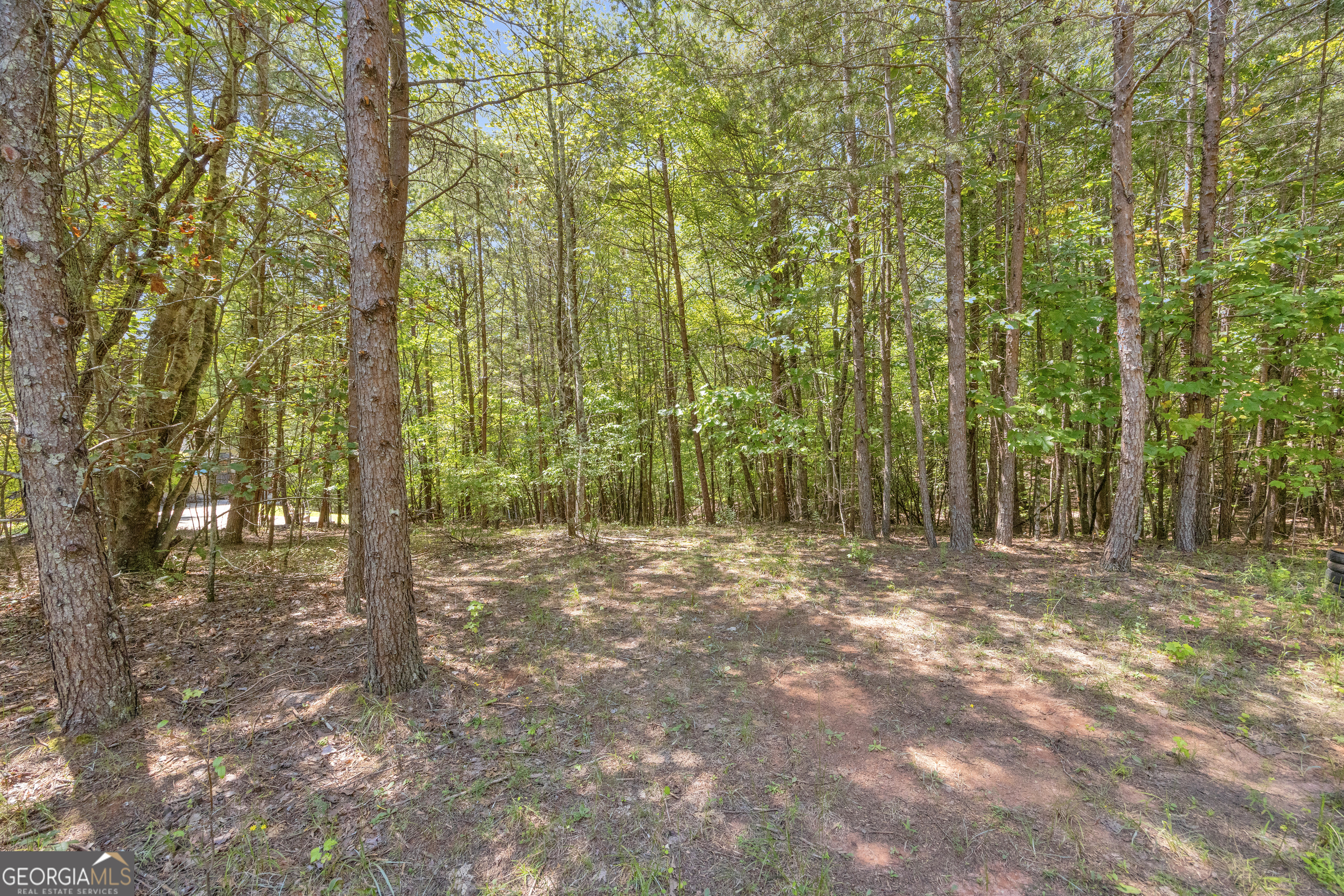807 Satterfield Road Cleveland GA 30528