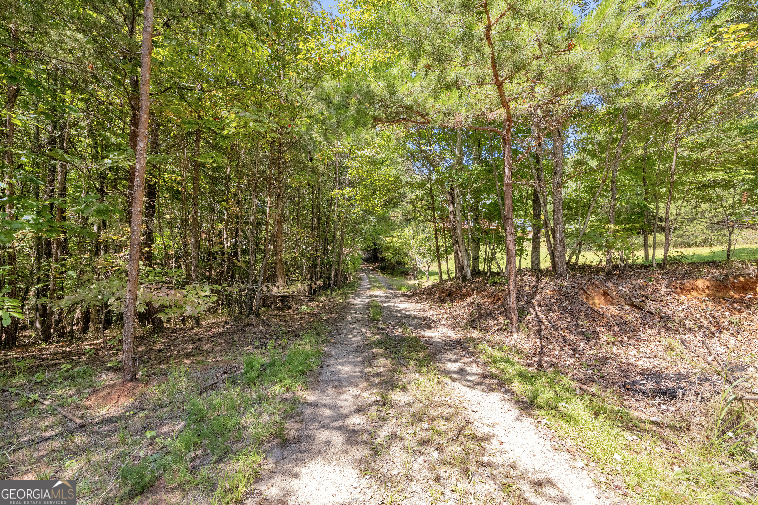 807 Satterfield Road Cleveland GA 30528