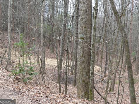 807 Satterfield Road Cleveland GA 30528